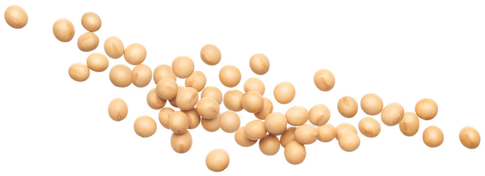 Soybeans splashing isolated