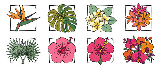 Tropical Botanical Elements Collection Isolated © kole