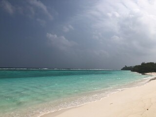 tropical beach with palm trees © Olga
