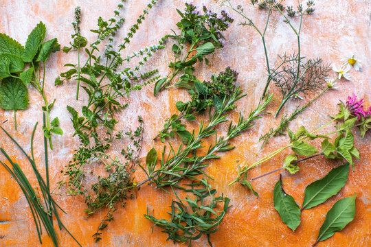 Fresh culinary herbs and chamomile in still Life overhead view