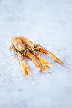 Fresh langoustines on crushed ice in studio photo
