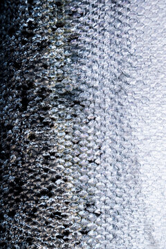 Close-up view of Salmon skin showcasing detailed fish scales texture