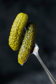 Two pickled cucumbers skewered on a fork with dark studio background