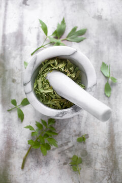 Dried lovage leaves in marble mortar with pestle overhead
