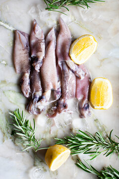 Raw squid with lemon and rosemary on marble surface