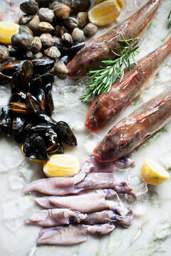 Fresh Seafood with red gurnard, mussels, clams, and cuttlefish on ice
