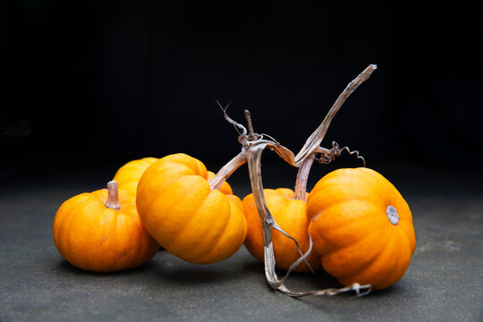 Orange pumpkins with dried stems on dark surface