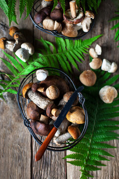 Fresh mushrooms including boletus and porcini