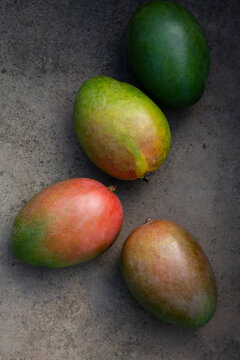 Four mangoes with varied ripeness on gray studio background
