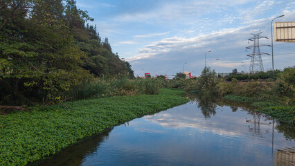River landscape with lush vegetation and clear reflections on the water surface under a blue sky © Zhaorui