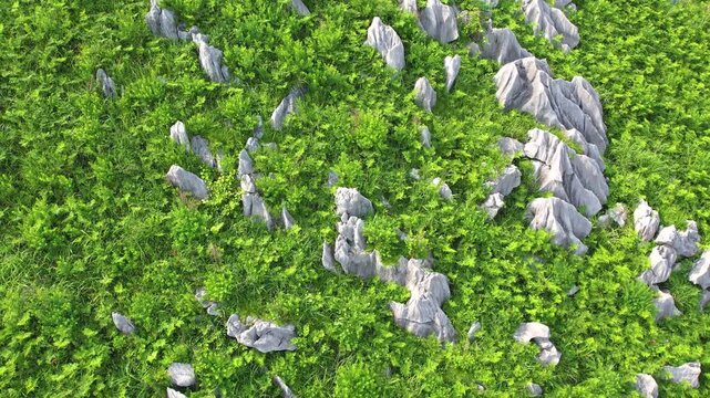 Close aerial view of limestone pinnacles at Akiyoshidai