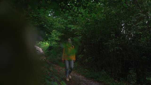 Woman in a bright yellow raincoat and leather backpack walking deeper into misty autumn forest. Bare branches, cinematic concept of mystery, suspense, solitude, and exploration