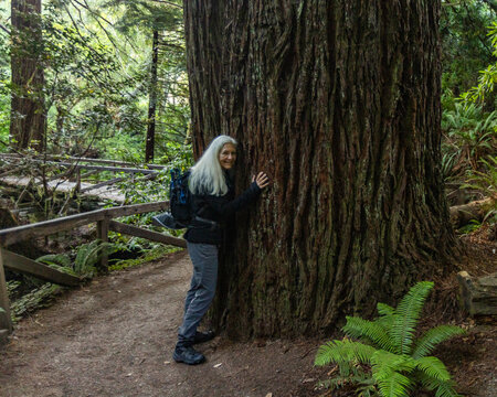 Portrait of smiling woman hugging Coastal Redwood tree in Redwood National Park