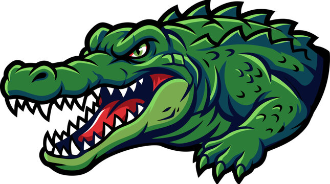 Angry green alligator mascot head with sharp teeth and open mouth aggressive wild reptile cartoon character illustration
