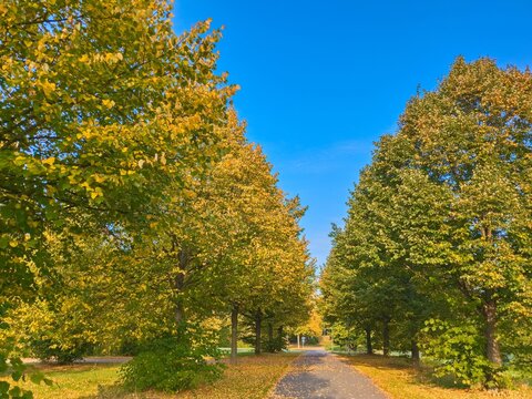 F&uuml;r einen herbstlichen Spaziergang direkt in und um Hannover-Bemerode bieten sich im  goldenen Oktober wunderbare , farbenfrohe Einblicke in Die Natur.