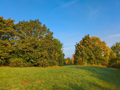 F&uuml;r einen herbstlichen Spaziergang direkt in und um Hannover-Bemerode bieten sich im goldenen Oktober wunderbare , farbenfrohe Einblicke in Die Natur.