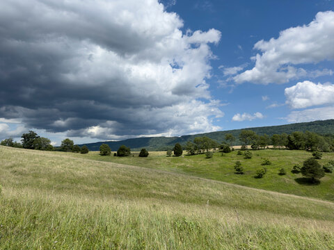 White puffy clouds over green meadow