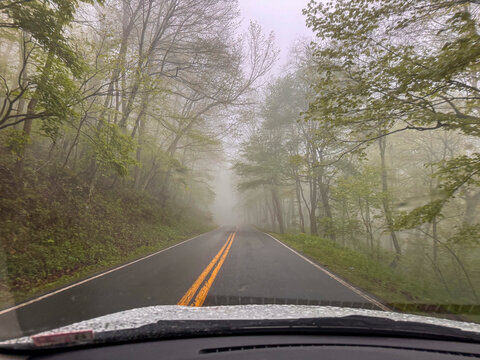 Road in forest seen from car