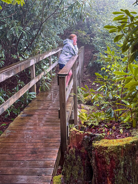 Woman relaxing on footbridge in forest on rainy day