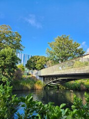 Fototapeta premium bridge over the river