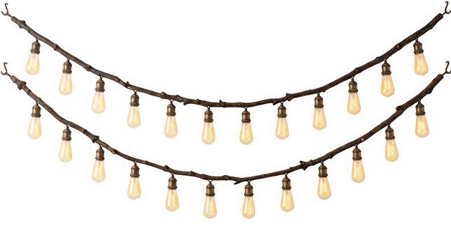 Rustic branch string lights with vintage edison bulbs isolated on transparent background
