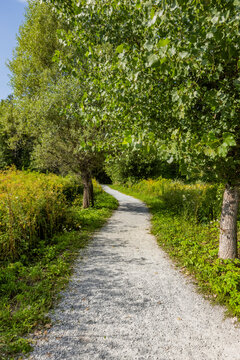 Empty rail trail path and trees
