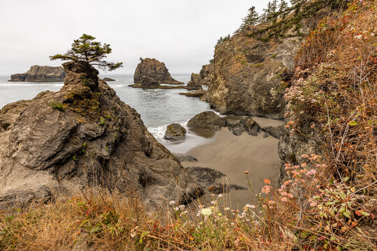 Sea stacks along Oregon coast