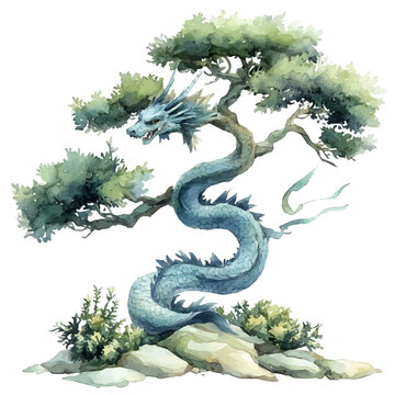 Watercolor drawing of Dragon Tree, on clean white background