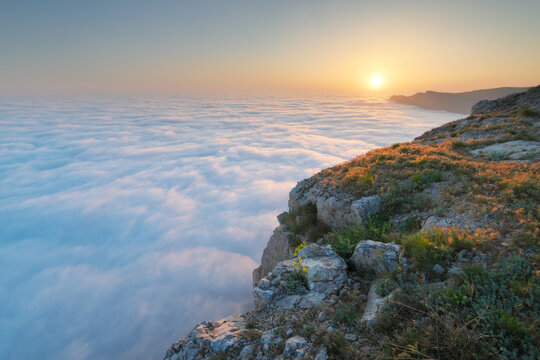 Rocky mountain edge with green grass bushes above white cumulus cloud sea surface under golden sunrise sky. Beautiful misty wilderness landscape