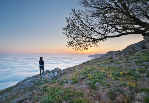 Woman silhouette stands on rocky mountain slope near blooming tree watching cloud sea under sunset sky. Beautiful spring twilight scene.