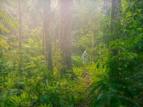 Woman hiking in lush tropical forest