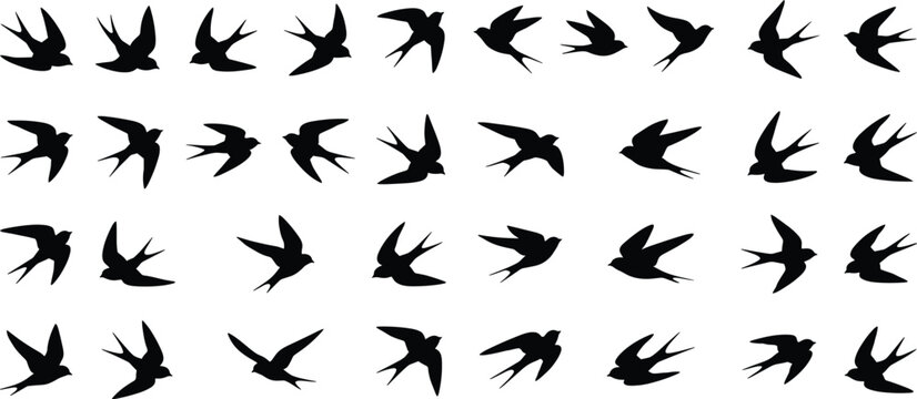 Flying swallow bird silhouettes vector set, swift flock collection, animal nature elements