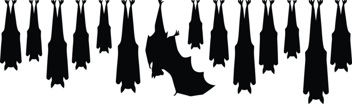 Bats Hanging Upside Down in a Row: A graphic illustration of multiple black bat silhouettes hanging upside down in a row, with one bat in the center appearing to be in flight.