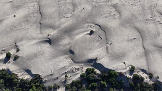 Aerial view of pale sand dunes sculpted by wind with scattered low shrubs and coastal vegetation along dune edge, slow lateral sweep revealing rippled surfaces, hollows, and shadowed troughs under low