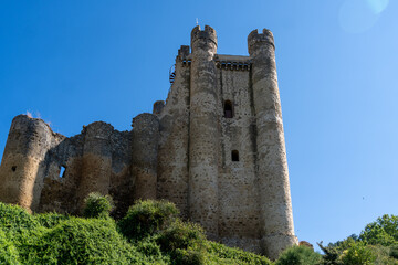 Valencia de Don Juan Castle: a stone castle with abundant vegetation and a clear sky. © Inspiraciones