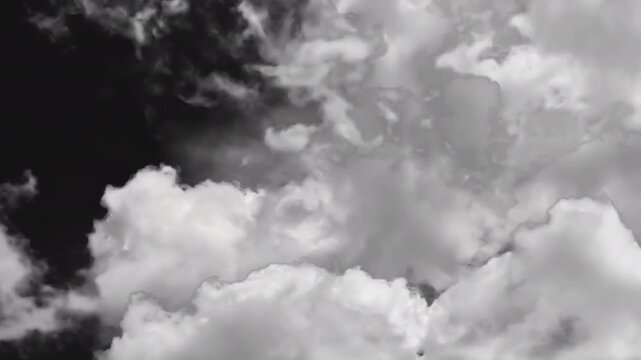White clouds sweep across the screen, completely covering the frame before moving away to reveal the scene, creating a natural transition with an alpha channel.