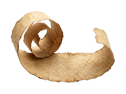 Long spiraled ribbon of antique parchment paper isolated on transparent background