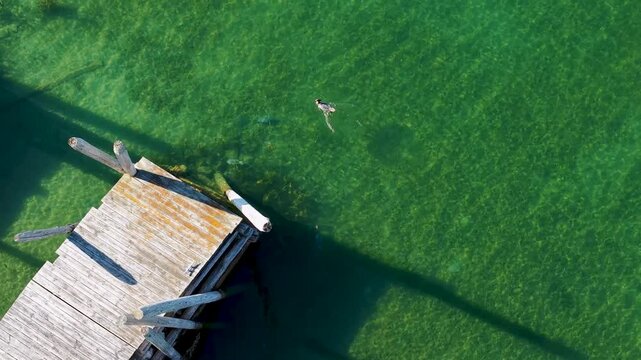 A straight down drone view shows a weathered wooden dock casting long shadows into clear green Lake Huron water at Hessel.