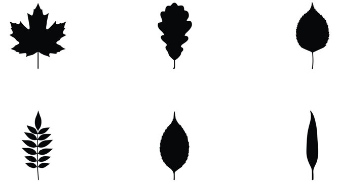 Autumn leaves silhouettes set black vector collection for botanical nature floral design elements