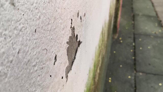 Damaged plaster wall with cracks and peeling paint. Close-up of a severely damaged, aged plaster wall. Heavy cracks and large areas of peeling and spalling paint layers are prominent across.