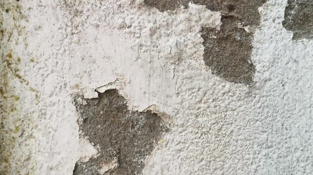 Damaged plaster wall with cracks and peeling paint. Close-up of a severely damaged, aged plaster wall. Heavy cracks and large areas of peeling and spalling paint layers are prominent across.