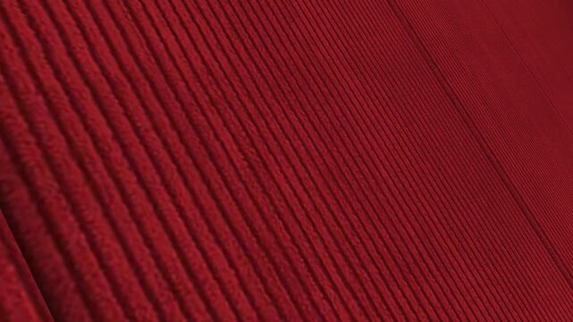 Luxurious Cinematic Movement Along Italian Burgundy Red Fine Wale Corduroy Fabric with Angled Perspective, Rich Lighting and Fine Ribbed Details