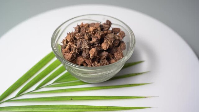 Gokhru &ndash; Tribulus Terrestris, Traditional Indian Ayurvedic Herb Known for Its Spiny Fruits, Herbal Wellness Uses and Botanical Importance