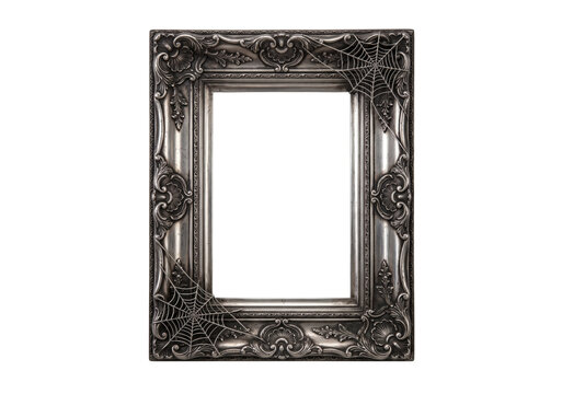 Vintage silver ornate baroque picture frame with spiderwebs