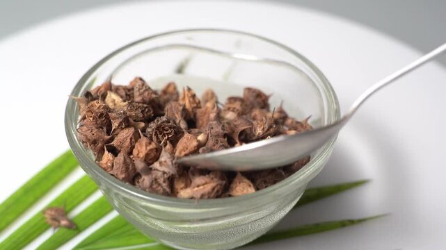 Gokhru &ndash; Tribulus Terrestris, Traditional Indian Ayurvedic Herb Known for Its Spiny Fruits, Herbal Wellness Uses and Botanical Importance