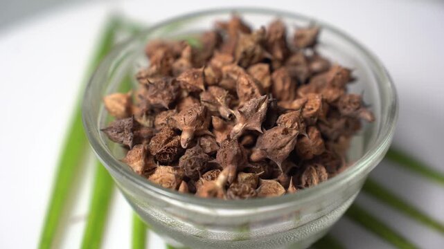 Gokhru &ndash; Tribulus Terrestris, Traditional Indian Ayurvedic Herb Known for Its Spiny Fruits, Herbal Wellness Uses and Botanical Importance