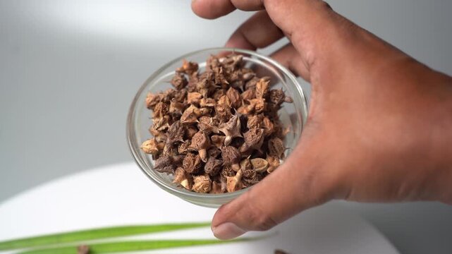 Gokhru &ndash; Tribulus Terrestris, Traditional Indian Ayurvedic Herb Known for Its Spiny Fruits, Herbal Wellness Uses and Botanical Importance
