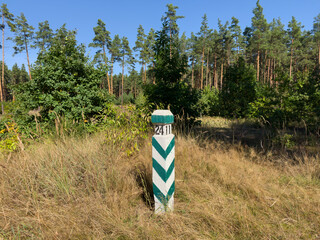Concrete forestry compartment post next glade in pine forest © An-T