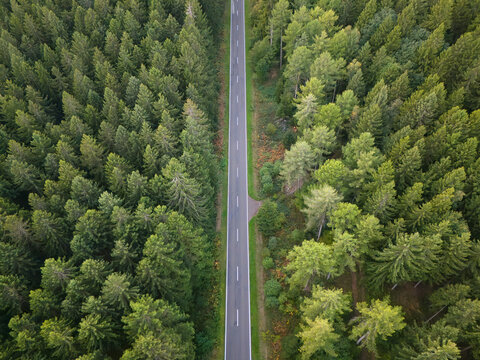 Aerial view of a straight asphalt road cutting through a dense coniferous forest with evergreen trees in Trier, Rhineland-Palatinate, Germany.