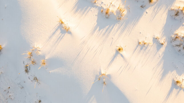 Top down aerial view of rippled white sand dunes and dry grass casting long shadows